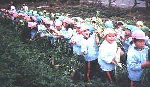 daikon5 photo