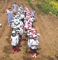 photo jyagaimo uetsuke no.7