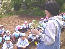 photo jygaimo uetsuke no.2