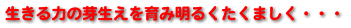 midashi